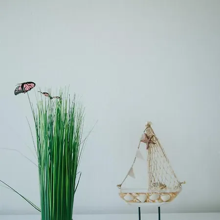 Tomislav 아파트 *